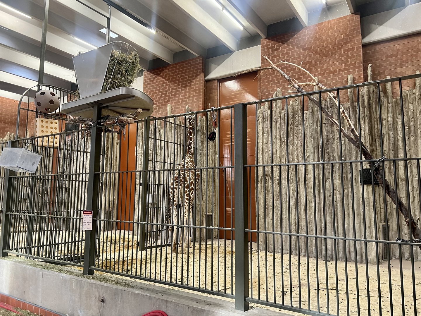 Giraffe Building-Interior