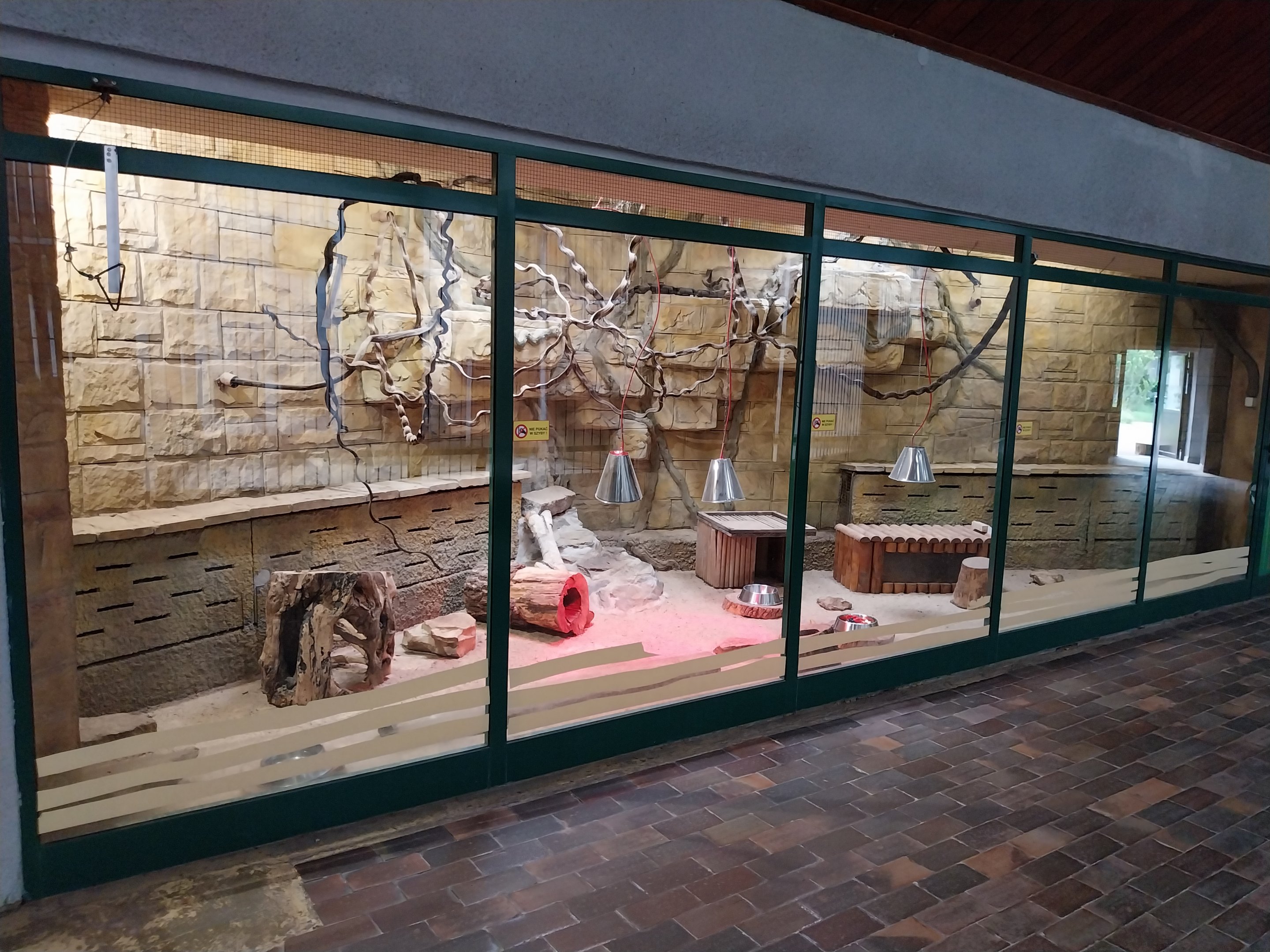 Giraffe building - Meerkat (Suricata suricatta) enclosure