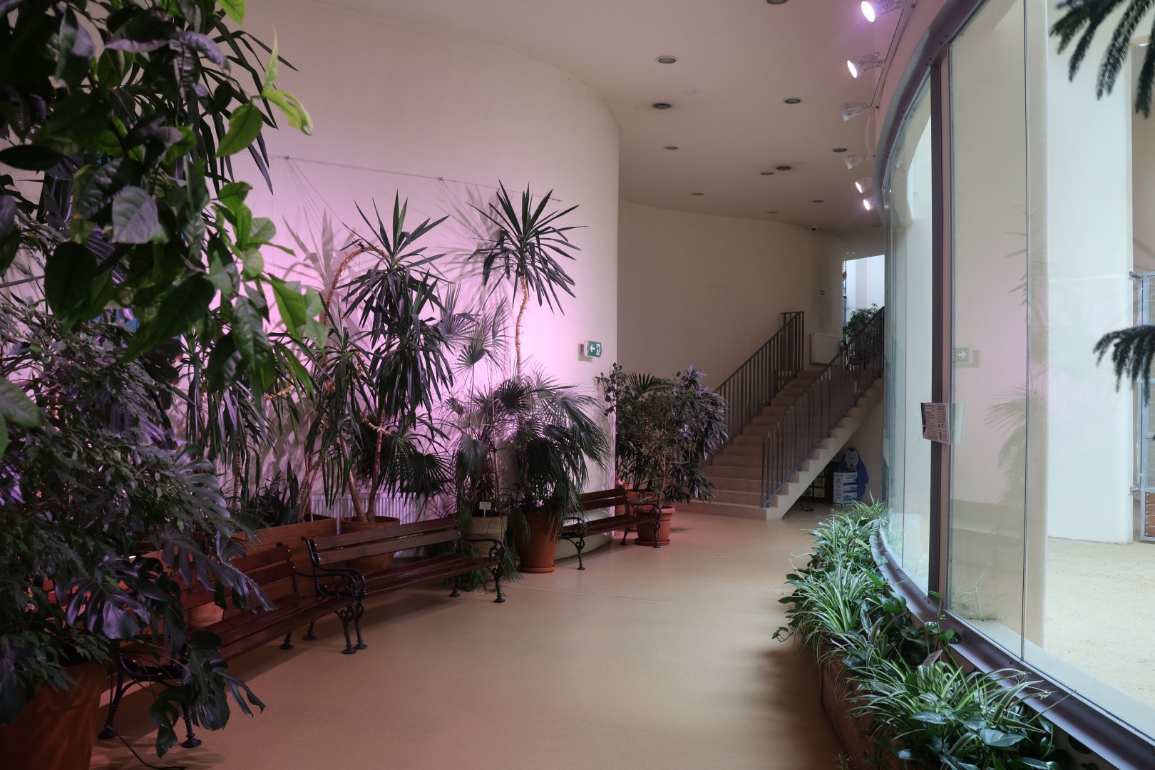 Giraffe building - Visitor area