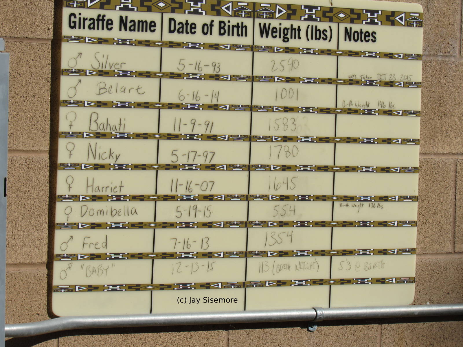 Giraffe Chart