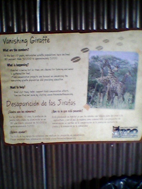 Giraffe conservation sign
