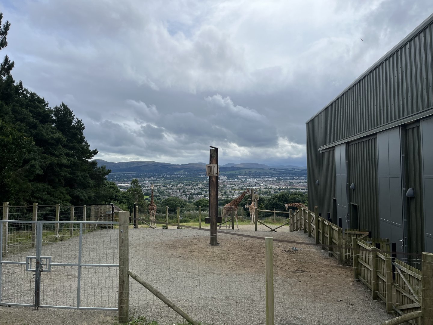 Giraffe enclosure 0.5 version 19.7.24