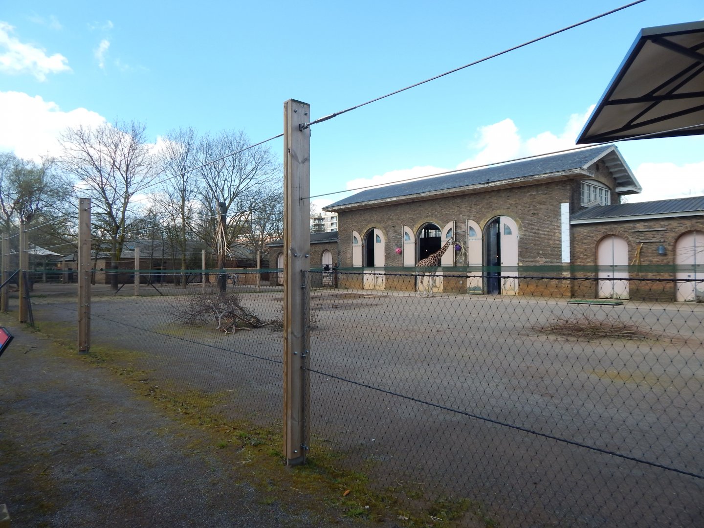 Giraffe enclosure 180322