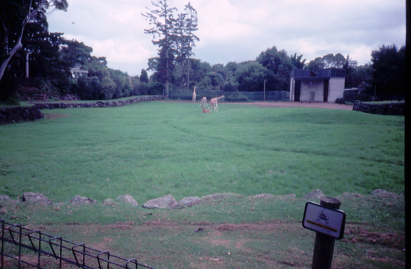 Giraffe enclosure - 1990