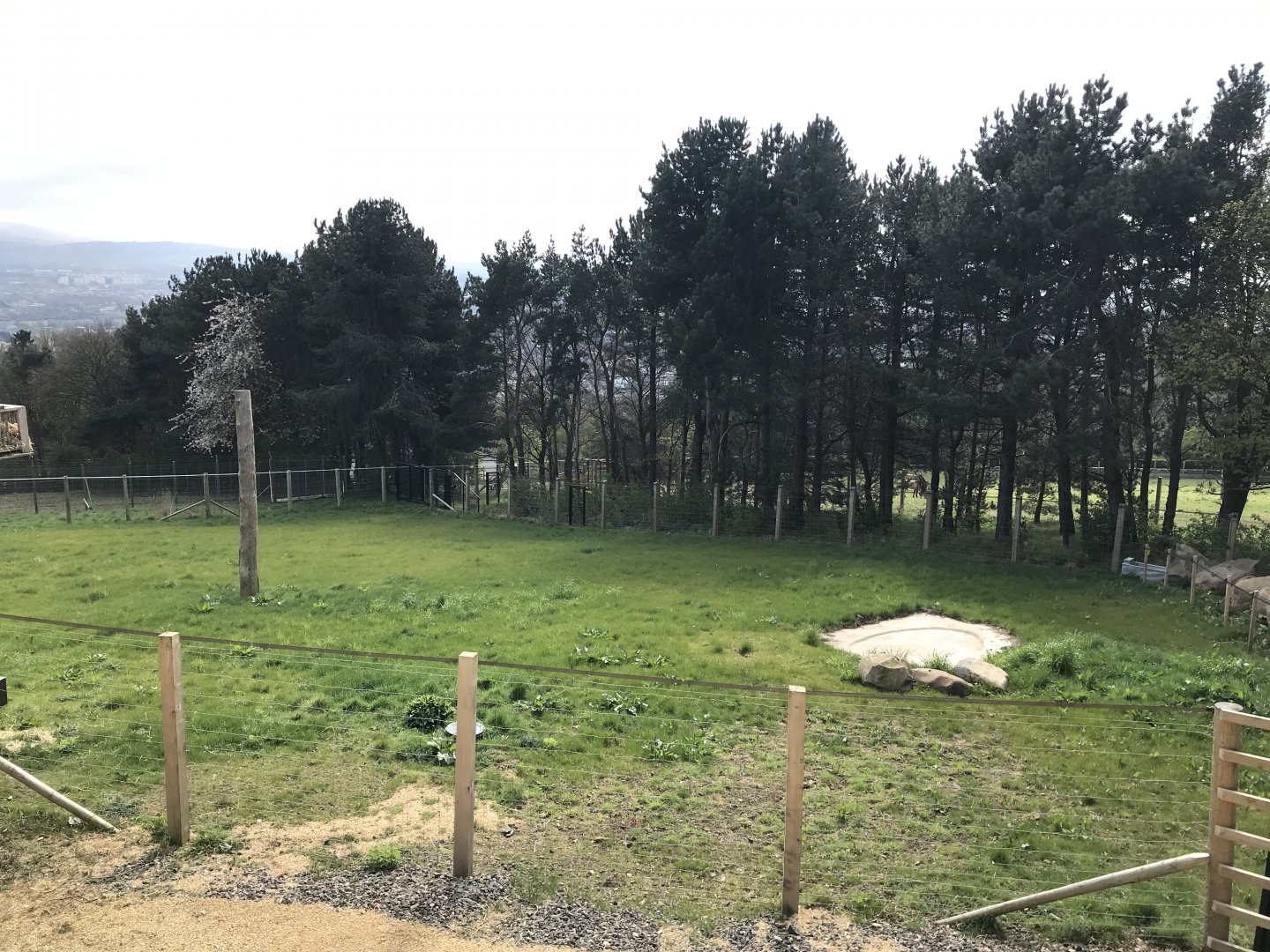 Giraffe enclosure (2)