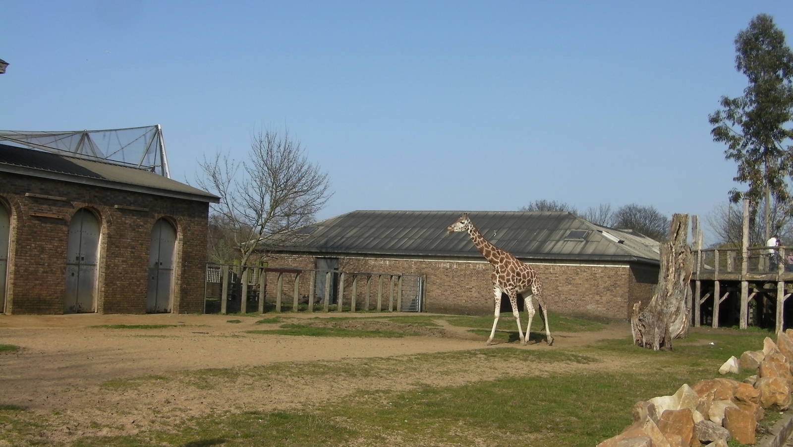 Giraffe Enclosure - 24.03.2012