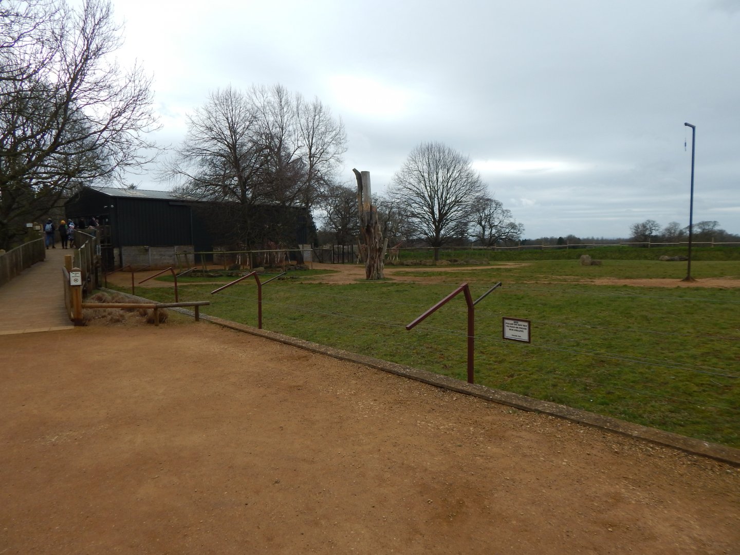 Giraffe enclosure 280222