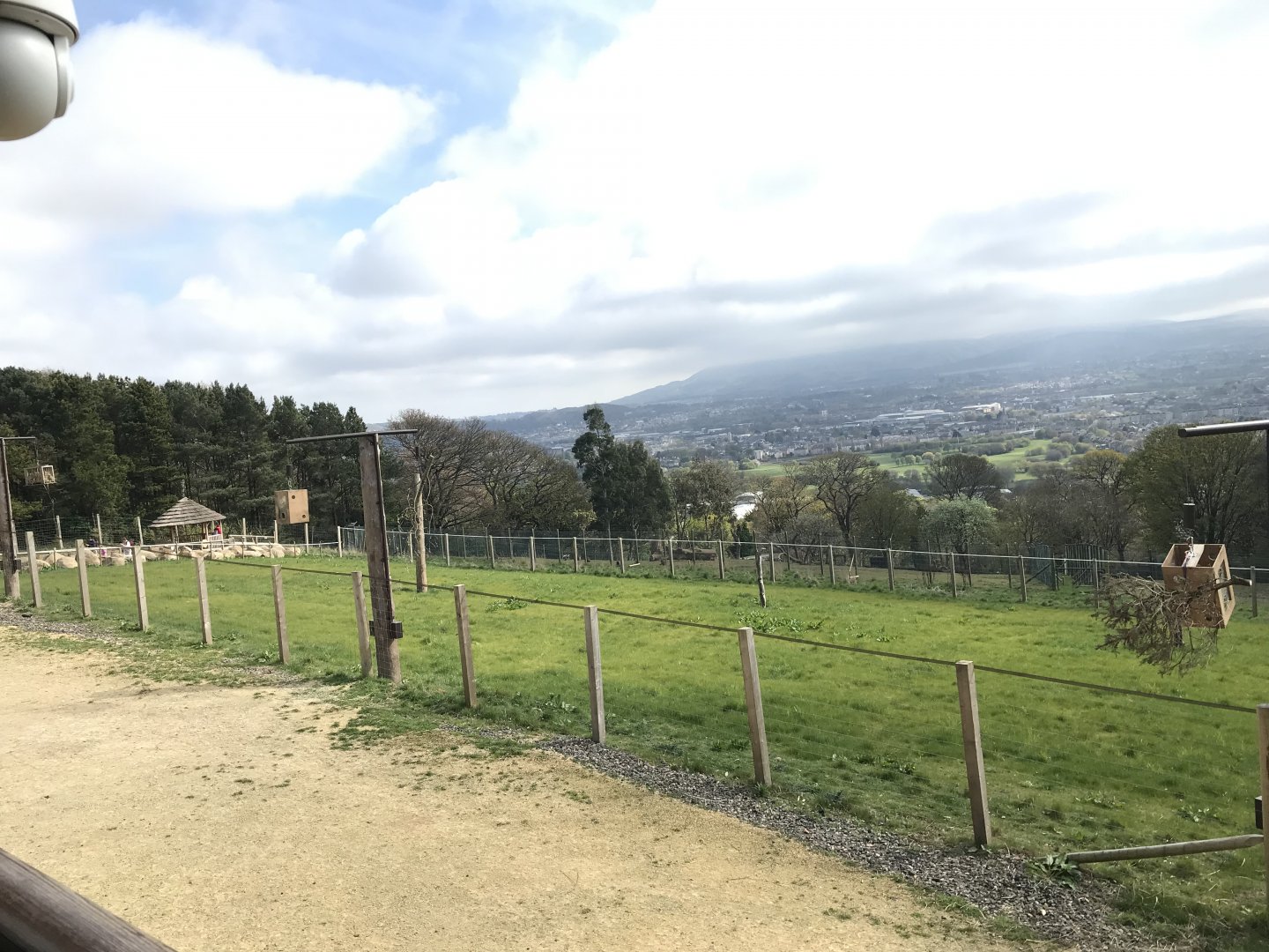 Giraffe enclosure (3)