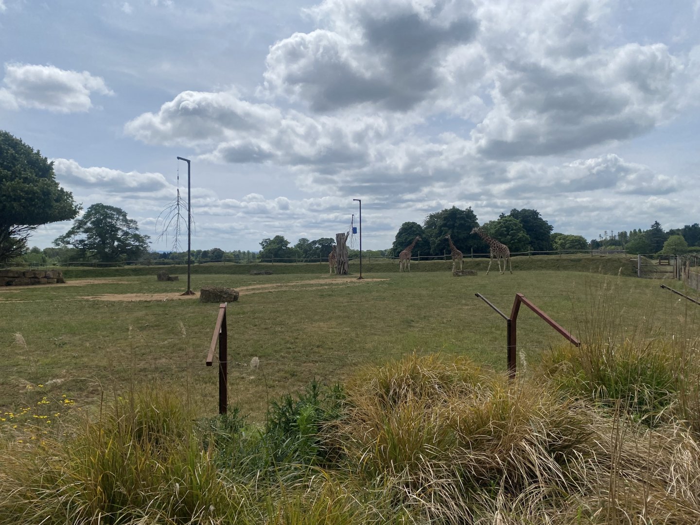 Giraffe enclosure 310525