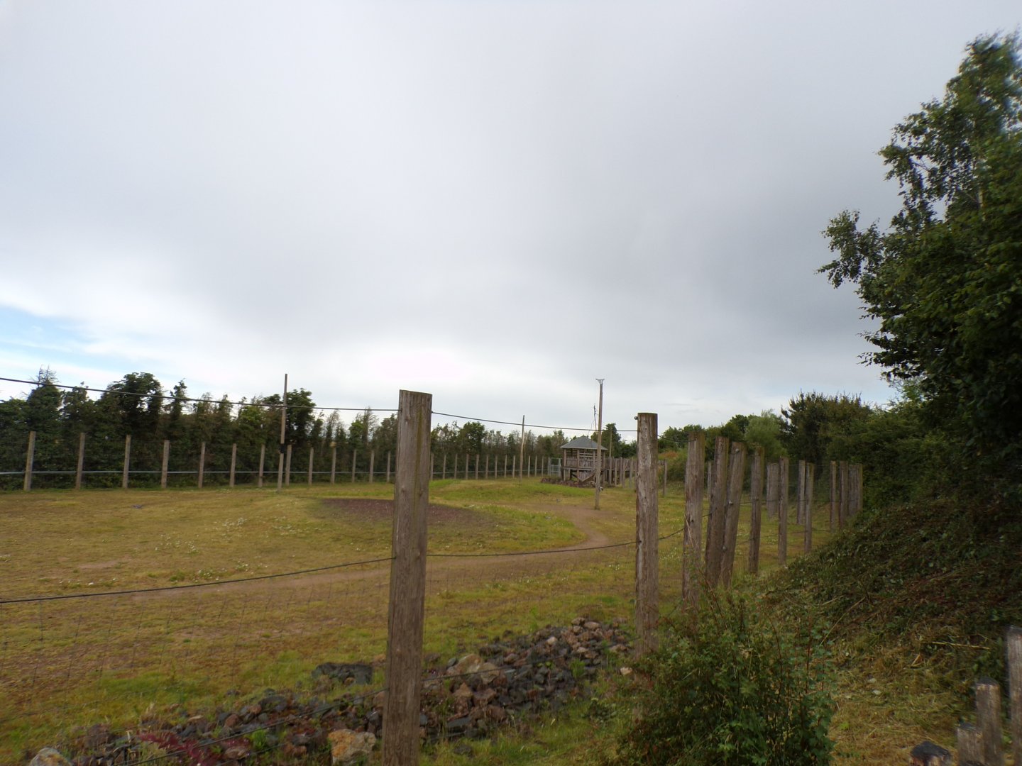 Giraffe enclosure 7.7.24