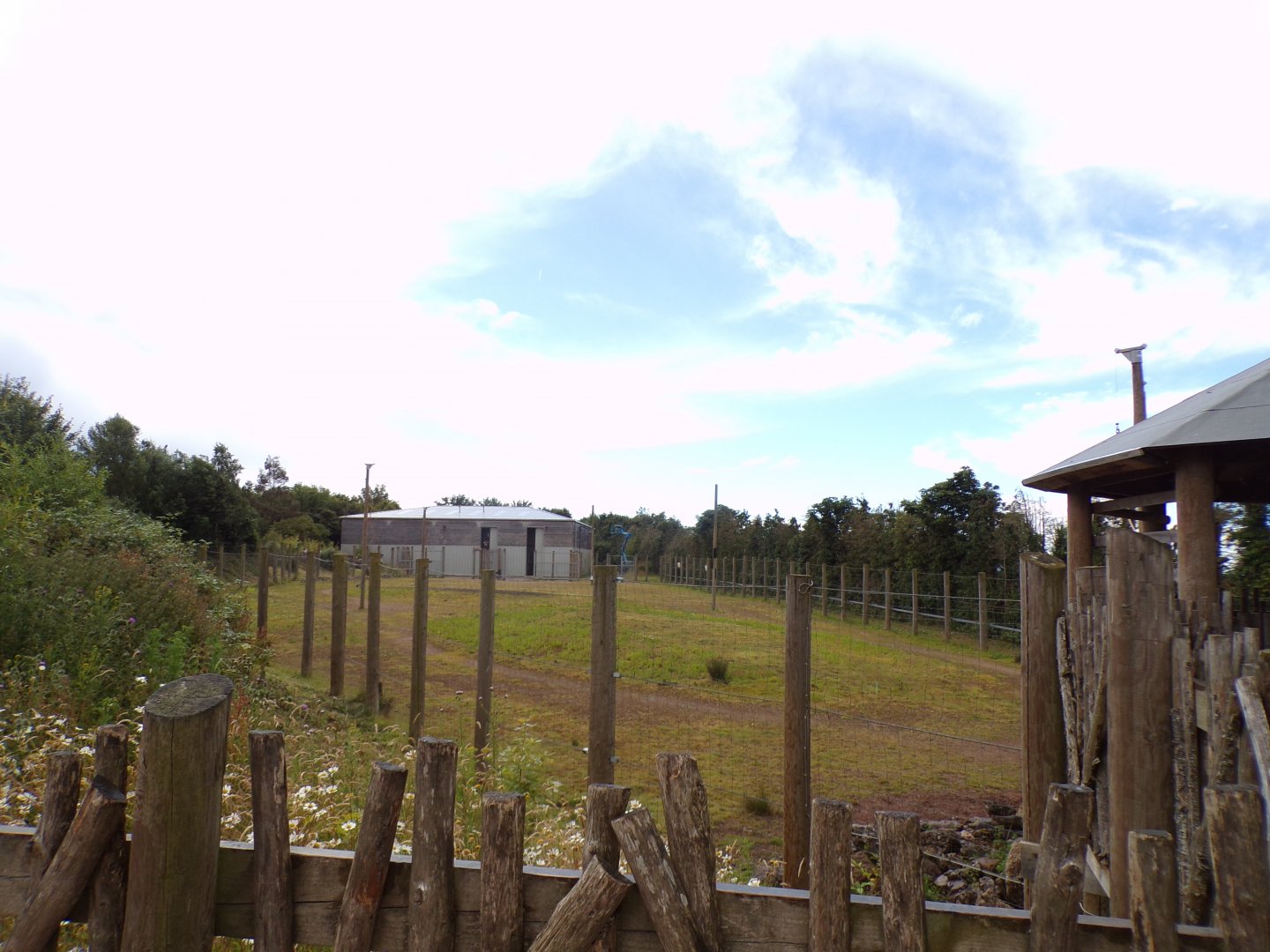 Giraffe enclosure 7.7.24