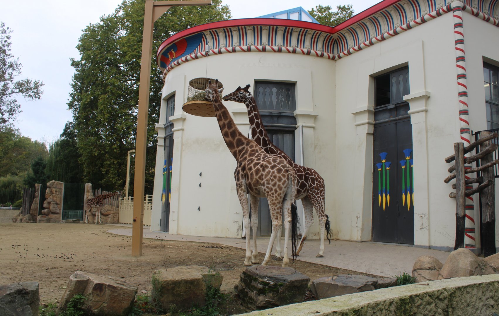 Giraffe-enclosure and Egyptian Temple