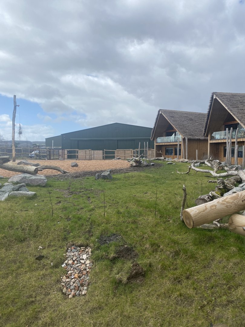 Giraffe Enclosure and Lodges