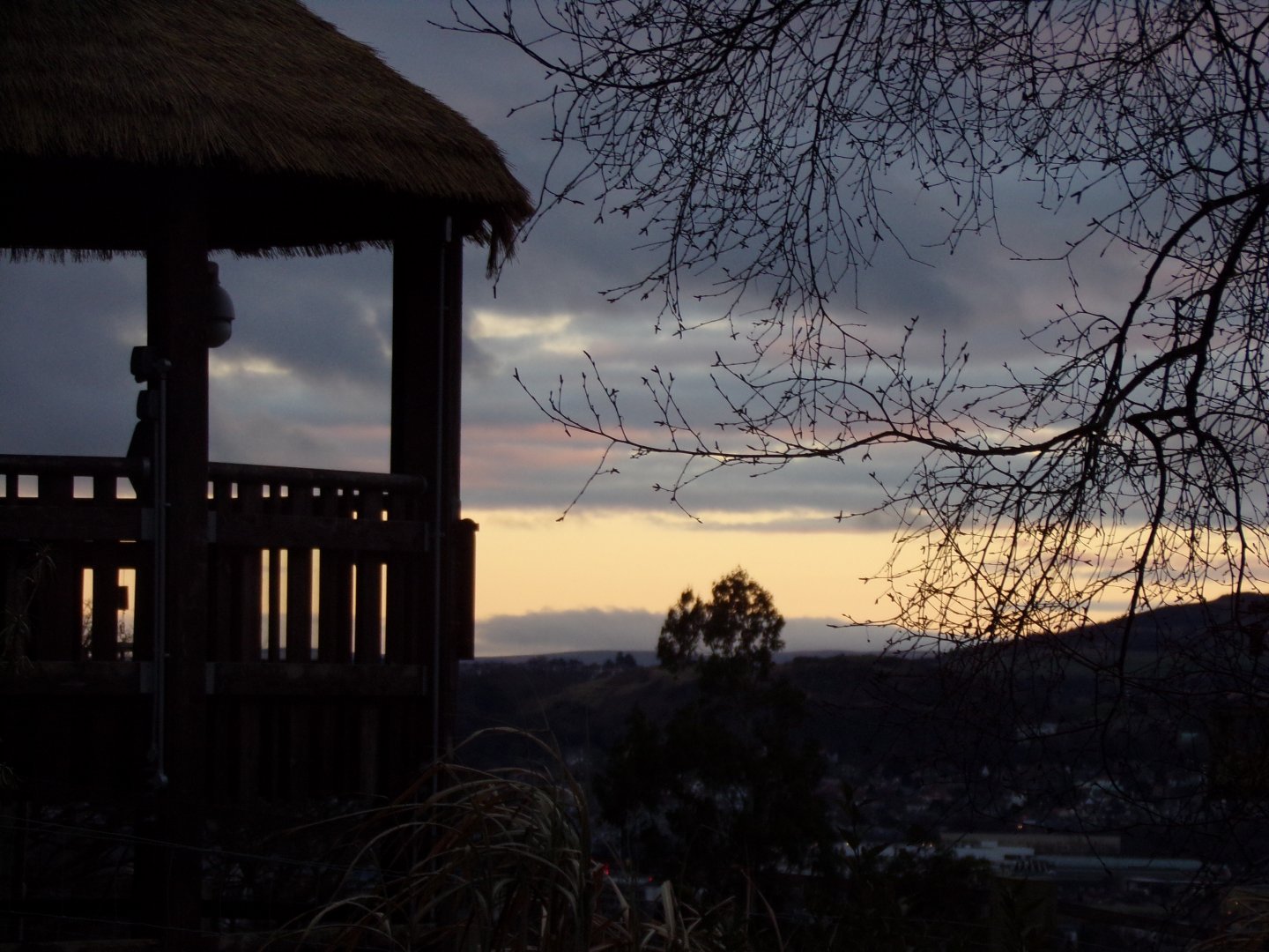Giraffe enclosure and view 27.12.24