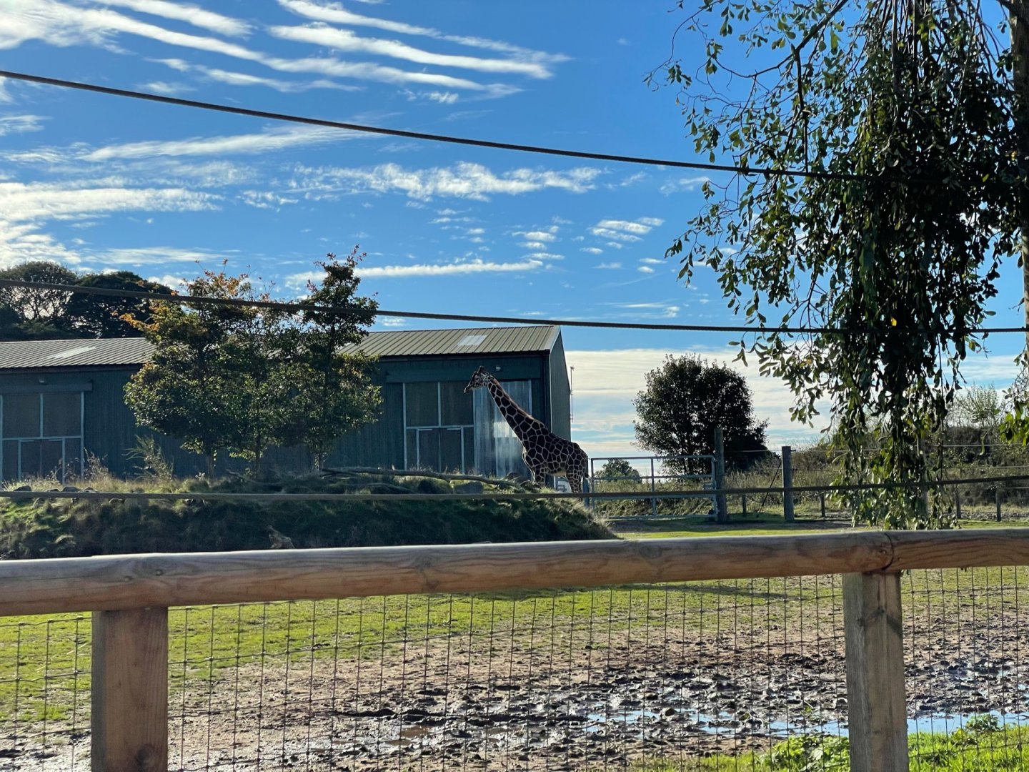 Giraffe Enclosure at Yorkshire Wildlife Park (October 2021)