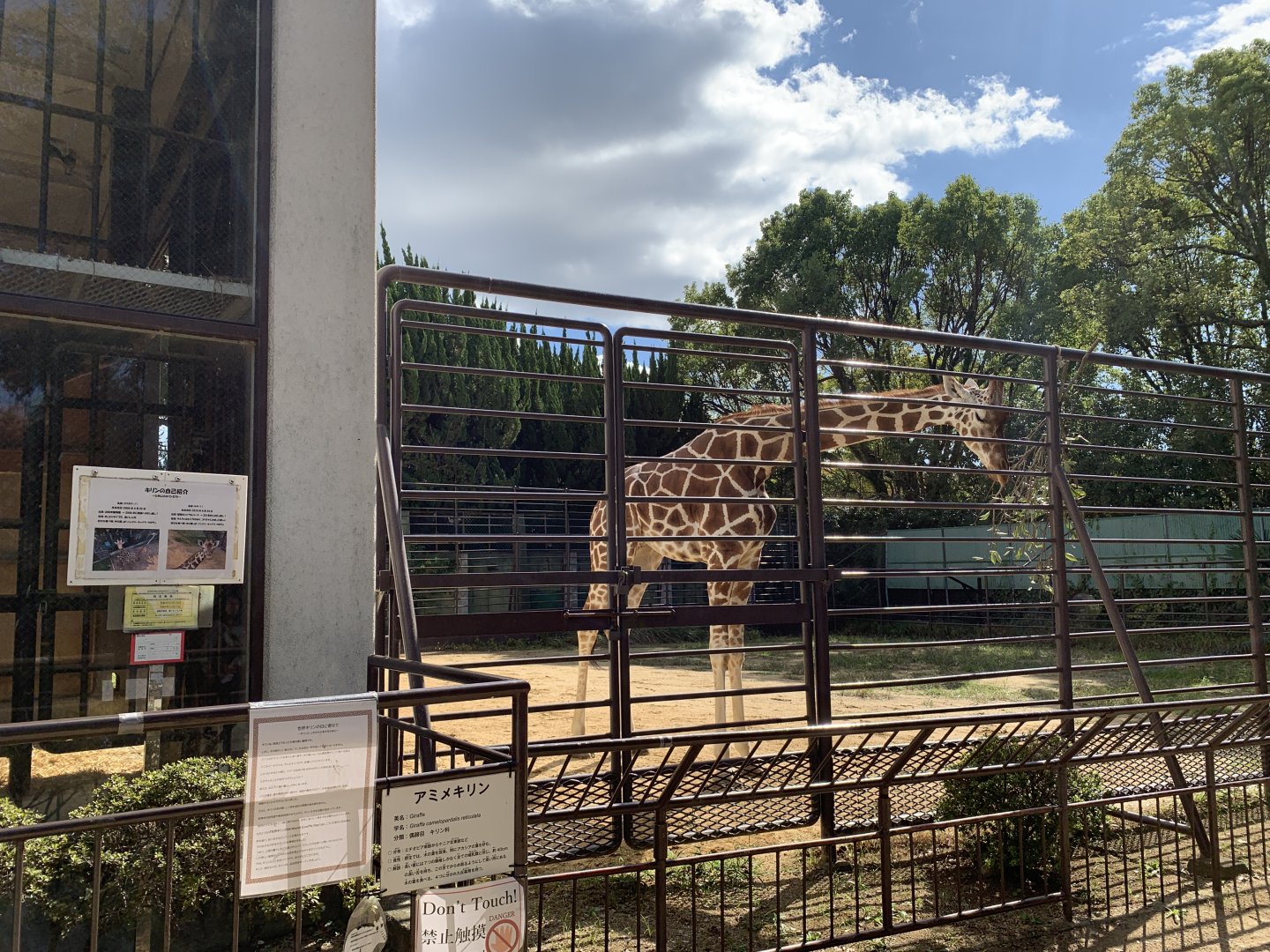 Giraffe Enclosure (Himeji City Zoo)