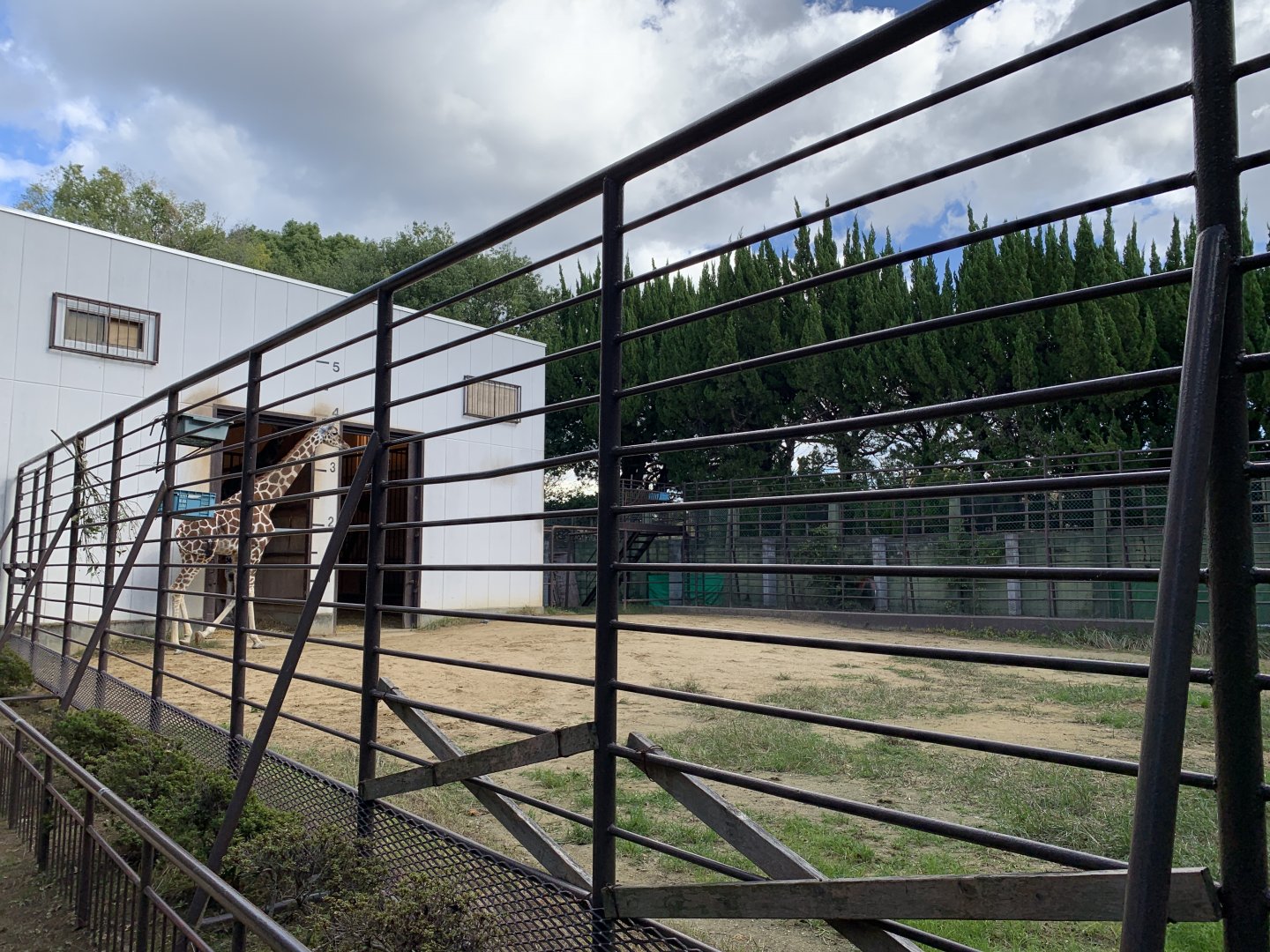 Giraffe Enclosure (Himeji City Zoo)