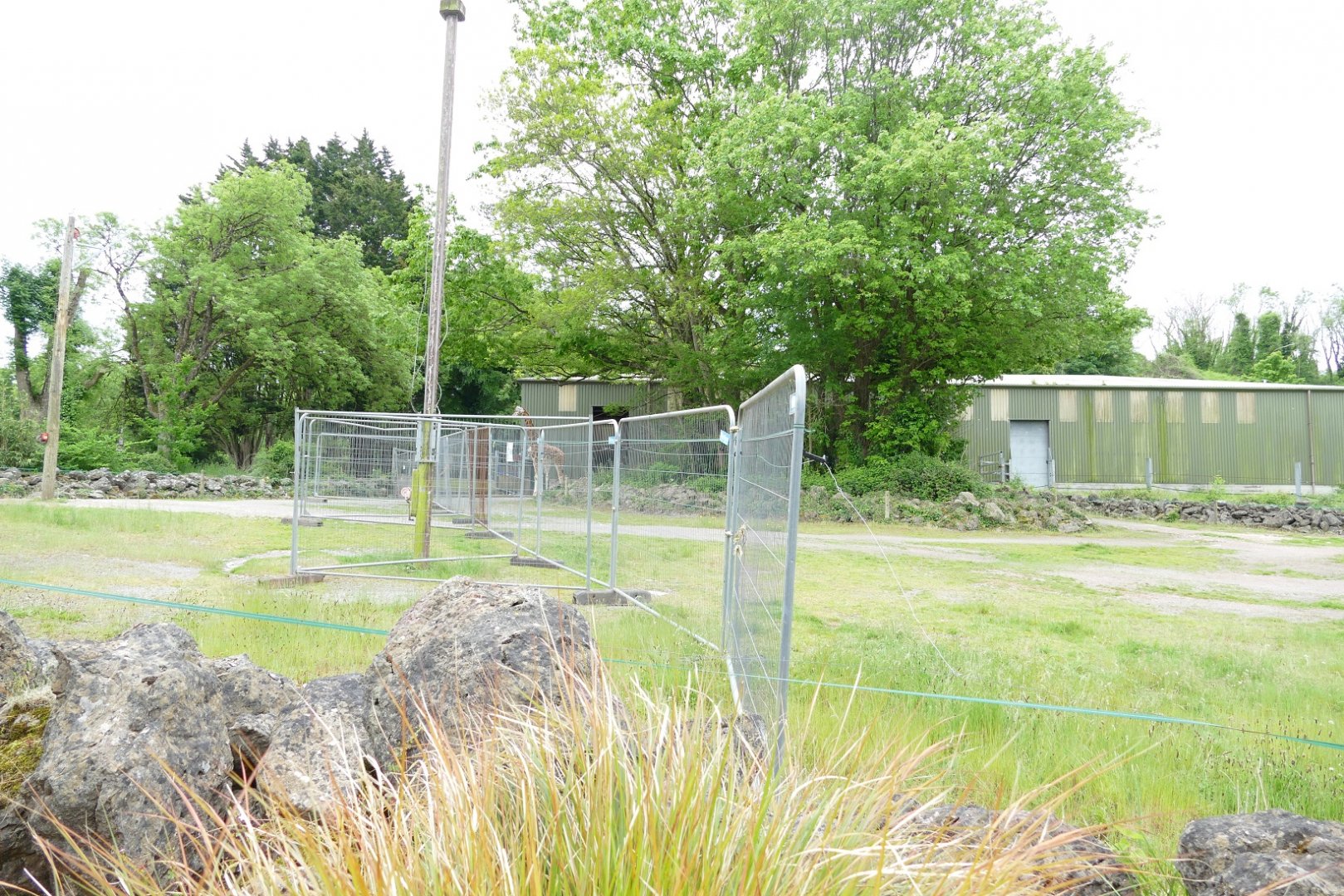 Giraffe enclosure, May 2022