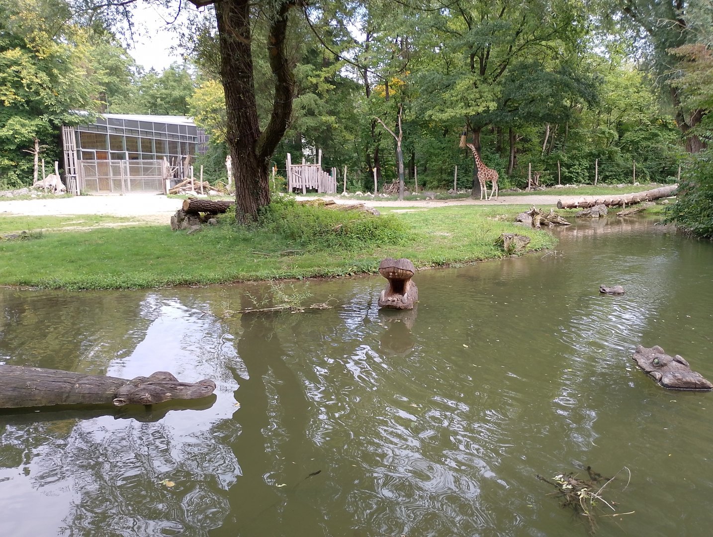 Giraffe enclosure moat