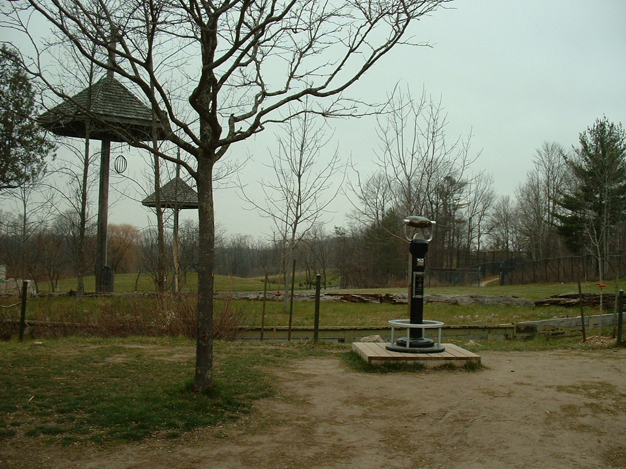 Giraffe Enclosure - Nov 2012