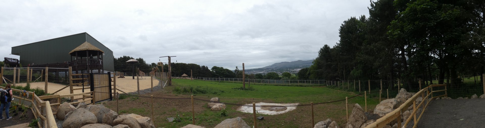 Giraffe enclosure panorama