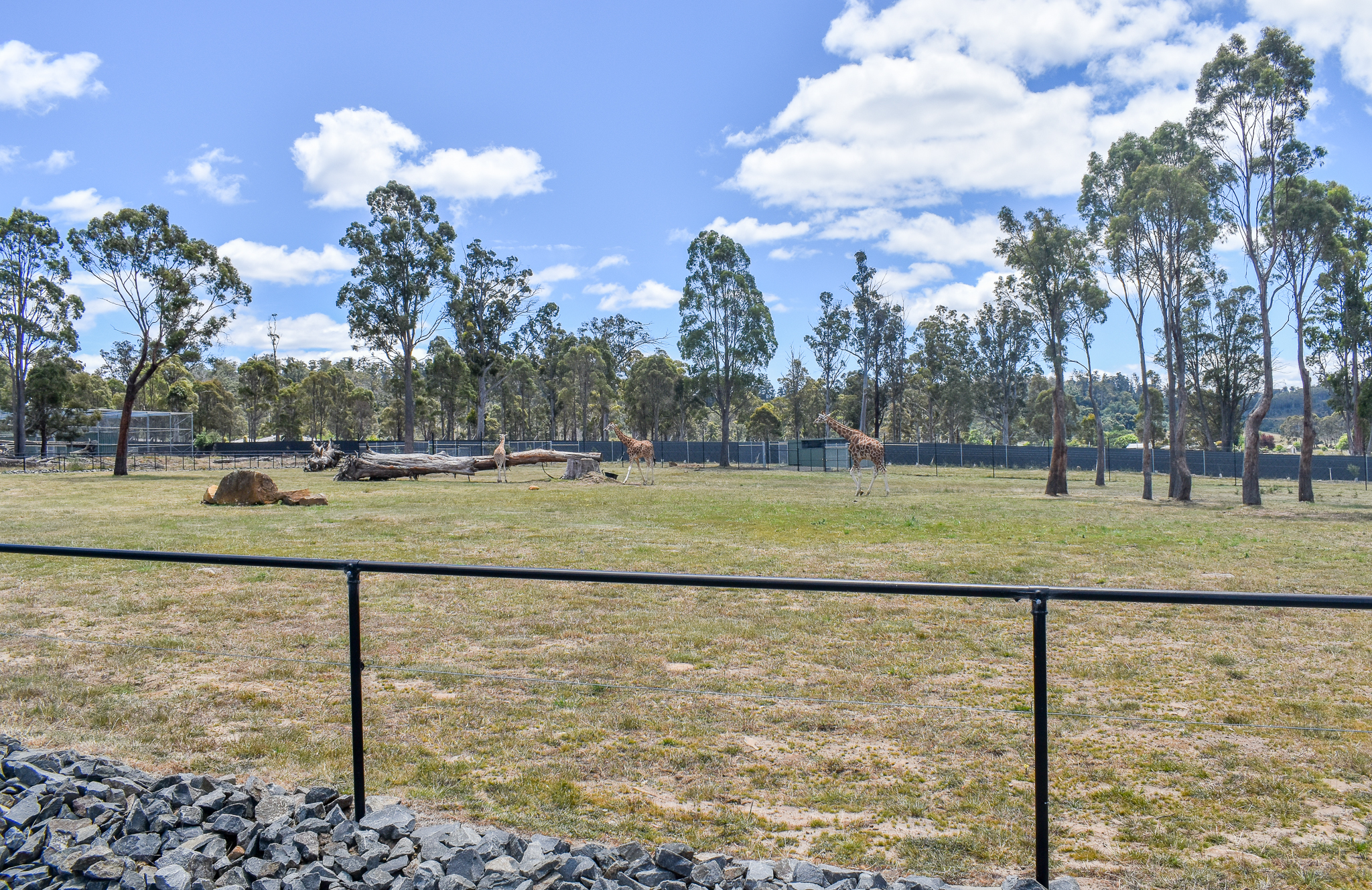 Giraffe enclosure (second half)