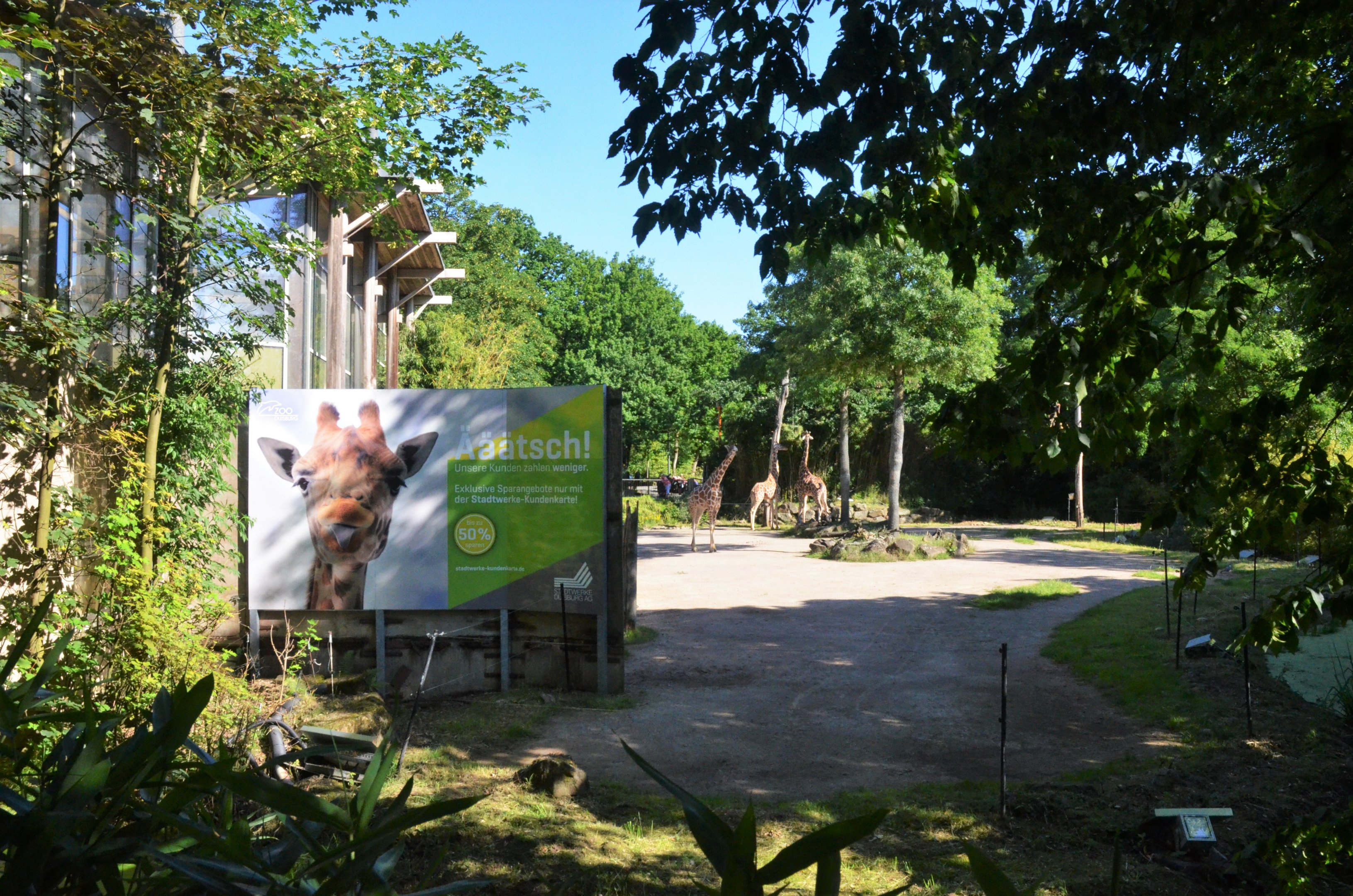 Giraffe Enclosure View from Outside the Zoo at Duisburg, 17/06/19