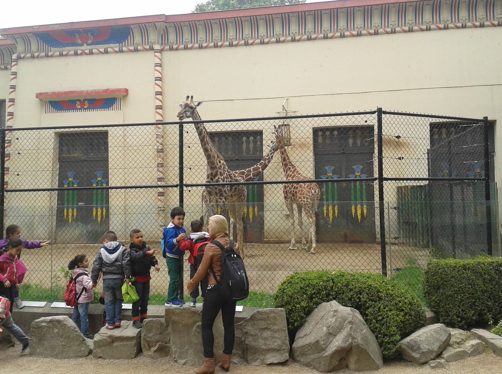 Giraffe enclosure