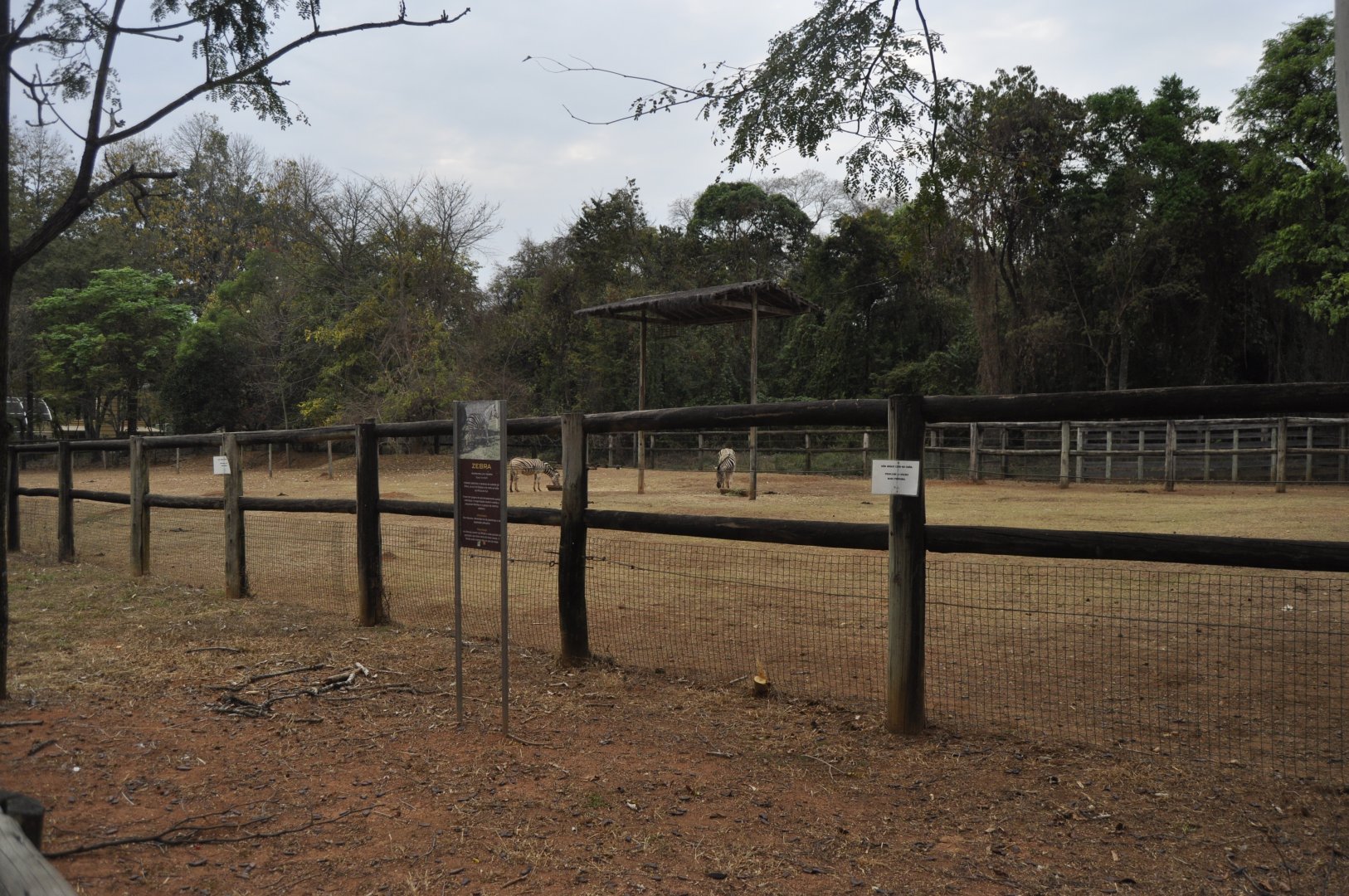 Giraffe enclosure