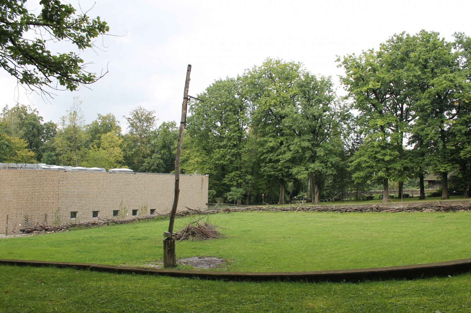 Giraffe Enclosure