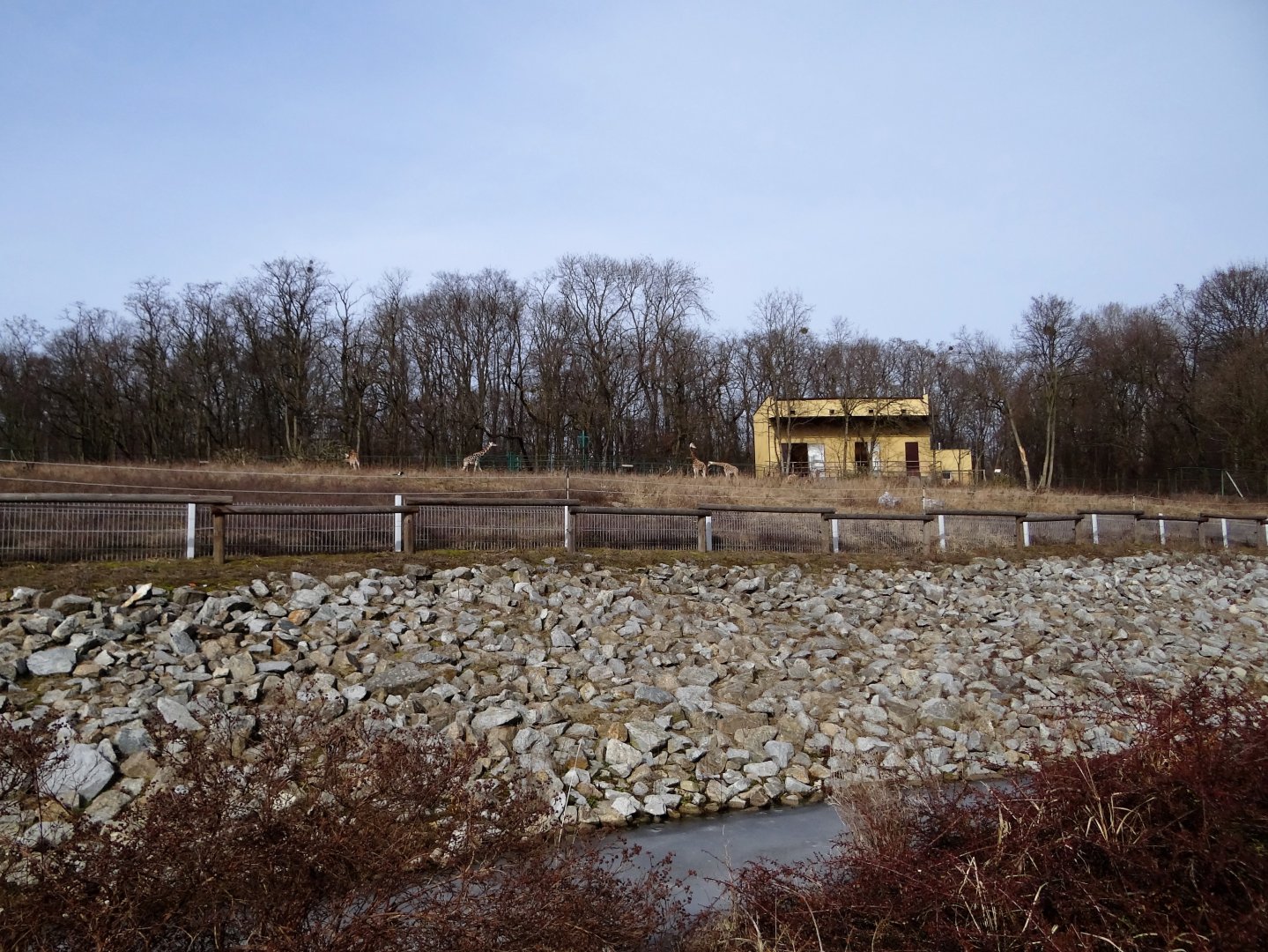 Giraffe enclosure