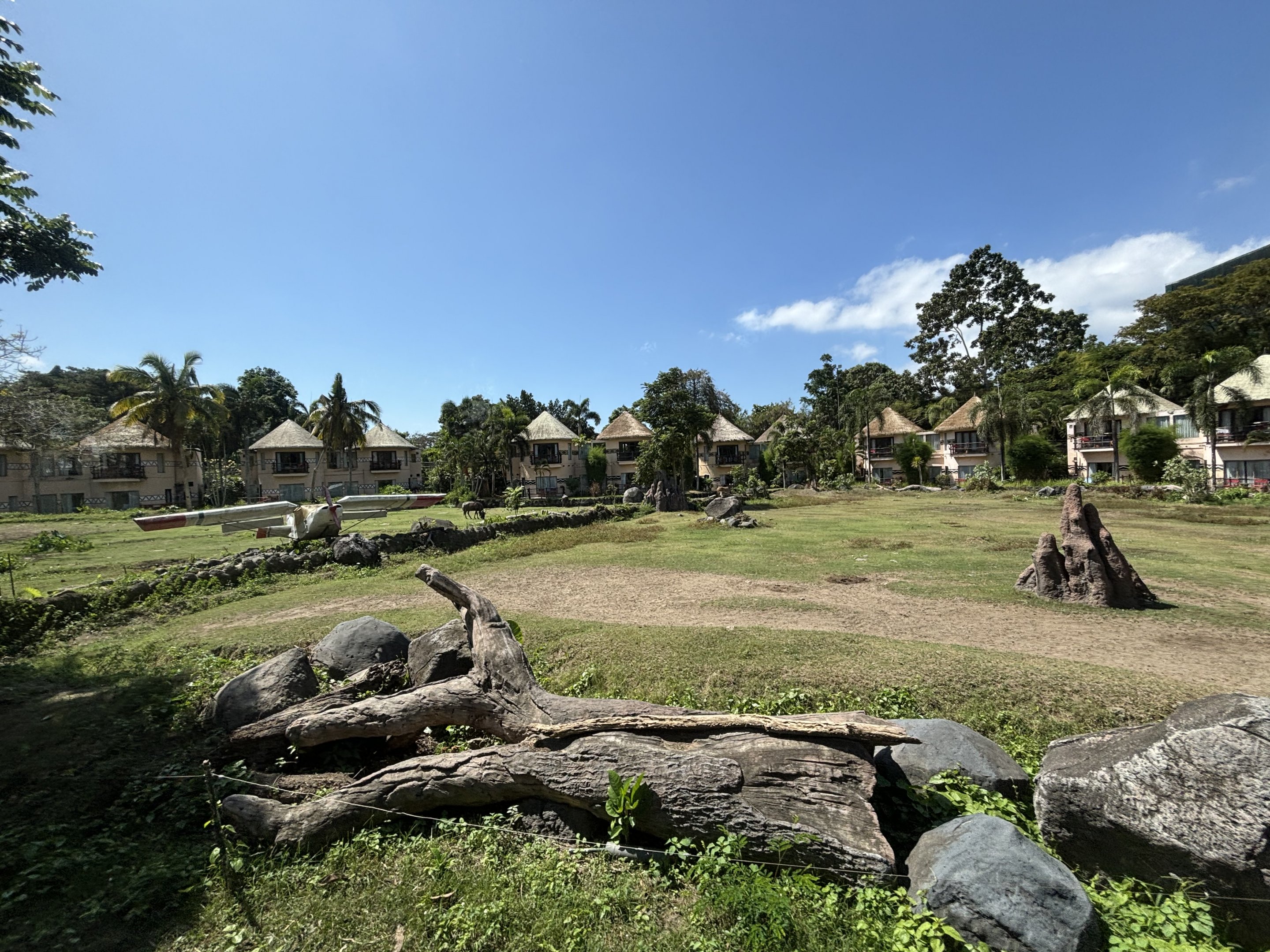 Giraffe Exhibit #2 + crashed plane