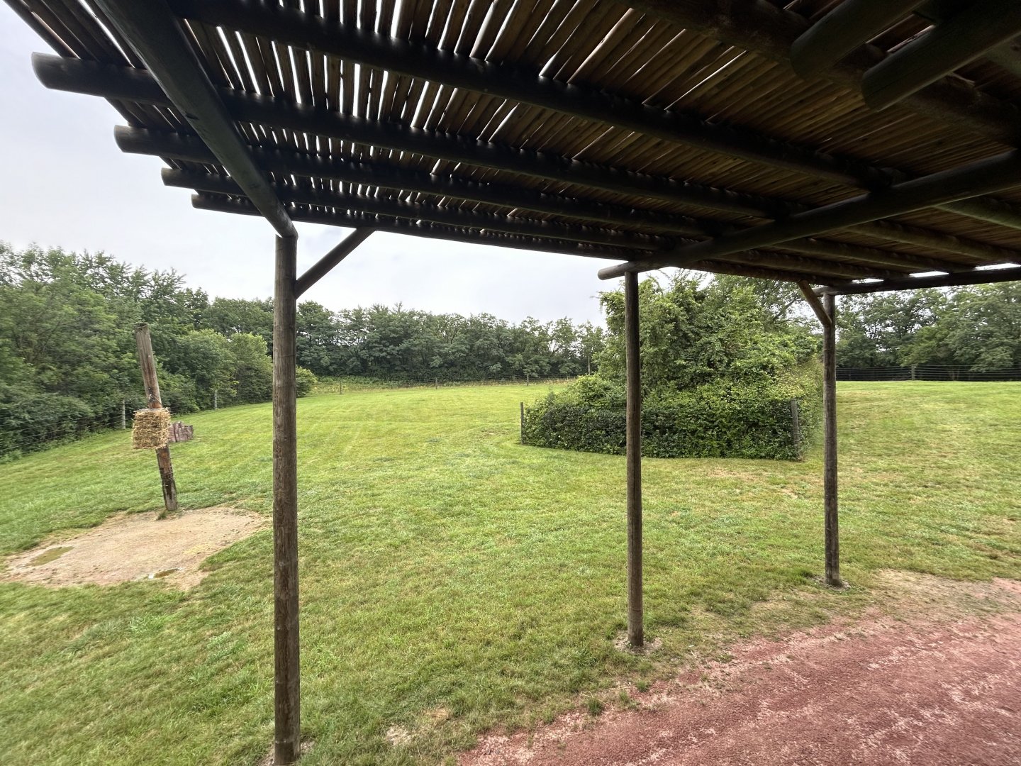 Giraffe Exhibit - African Journey