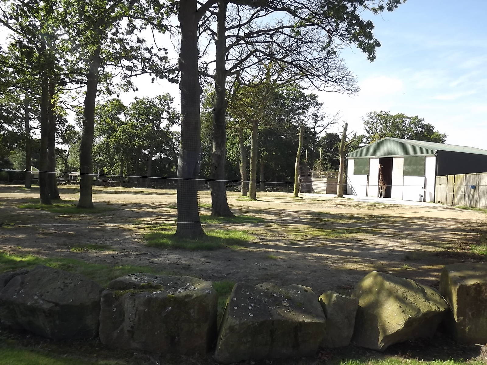 Giraffe exhibit at Knowsley Safari Park 08/09/12