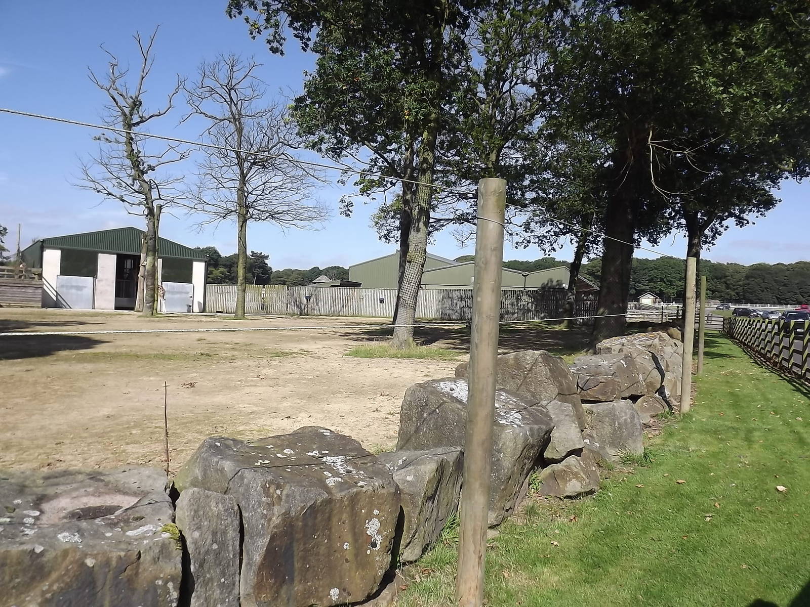 Giraffe exhibit at Knowsley Safari Park 08/09/12