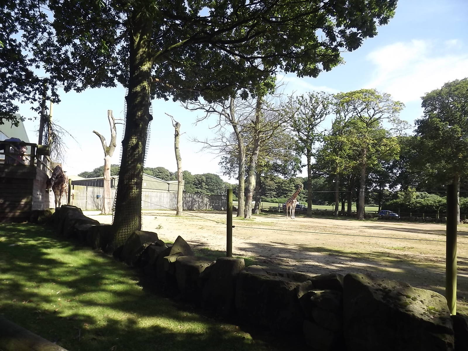 Giraffe exhibit at Knowsley Safari Park 08/09/12