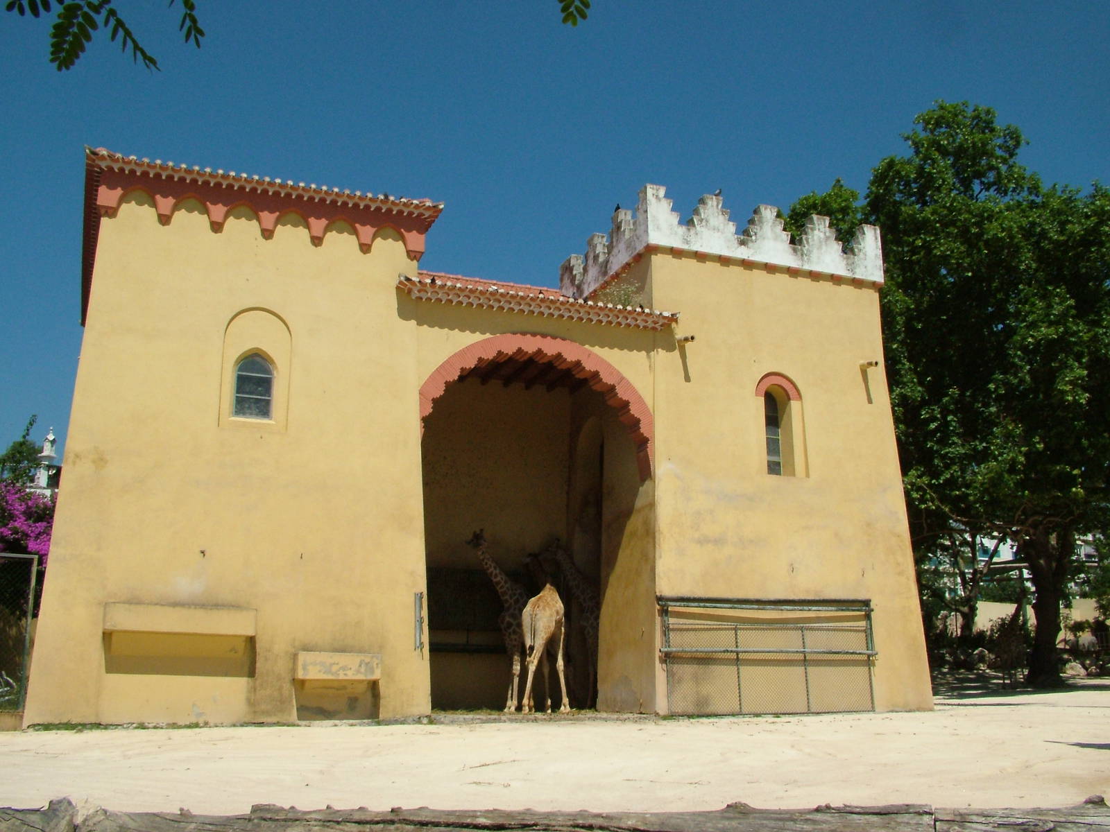Giraffe Exhibit at Lisbon Zoo, 24/05/11
