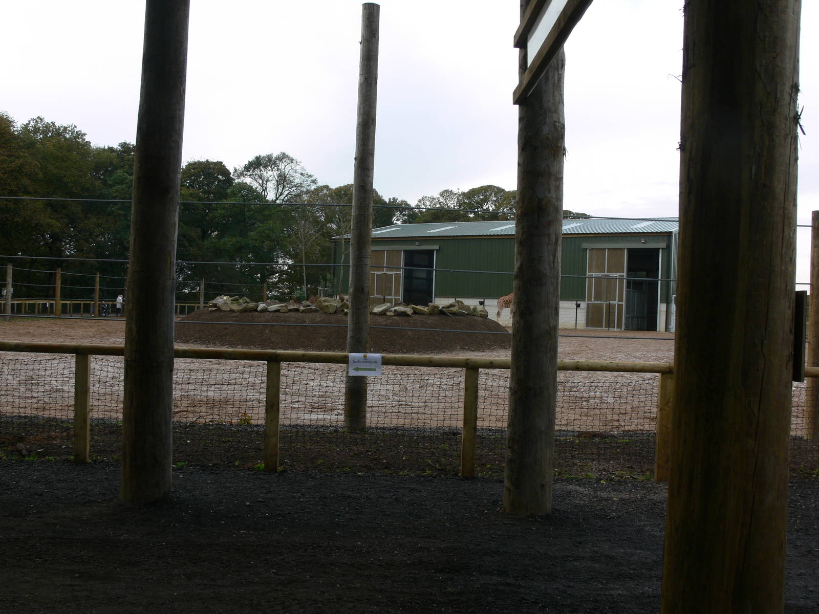 Giraffe exhibit at Yorkshire WP 01/11/12