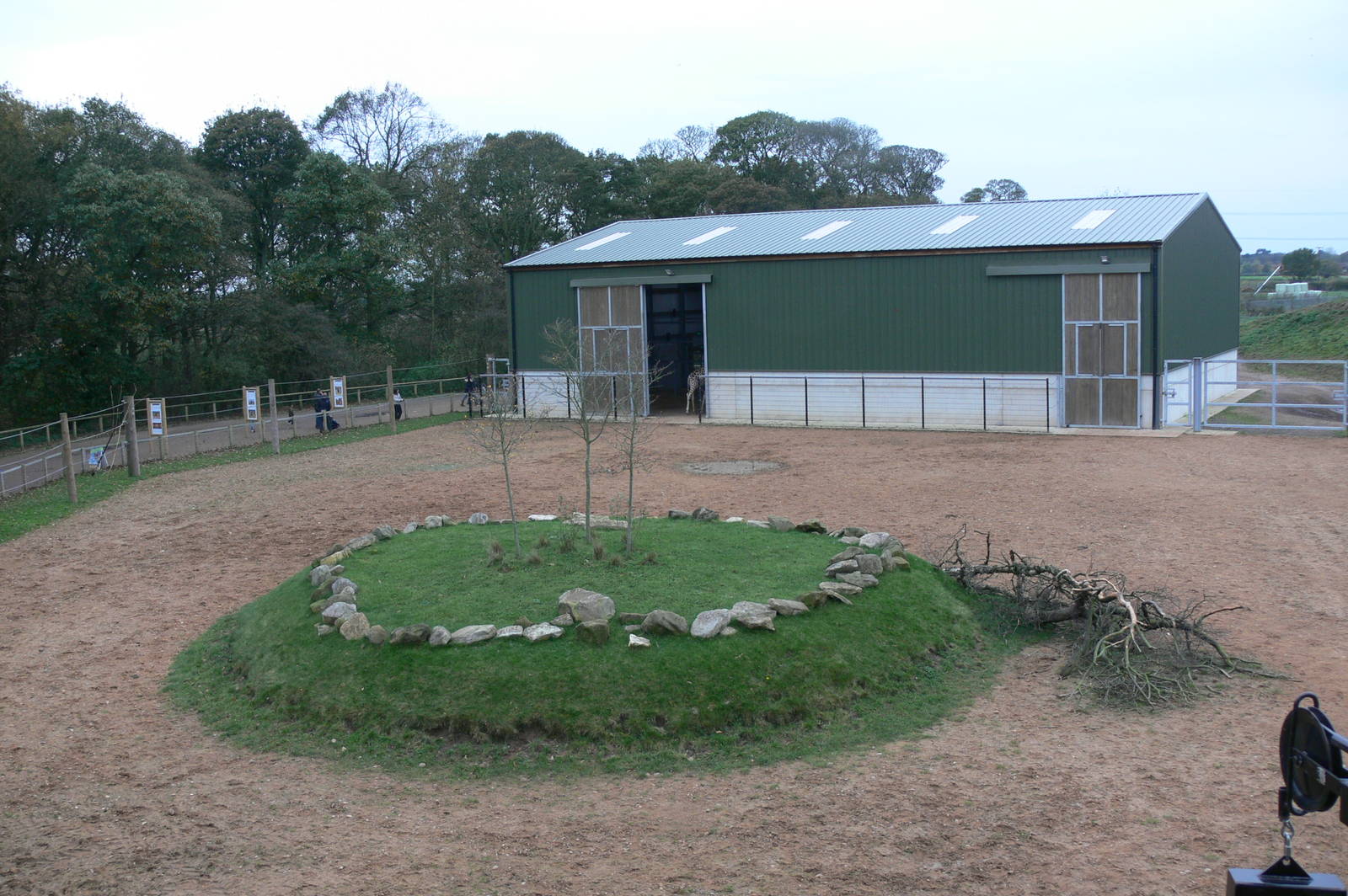Giraffe Exhibit at Yorkshire WP, 28/10/14
