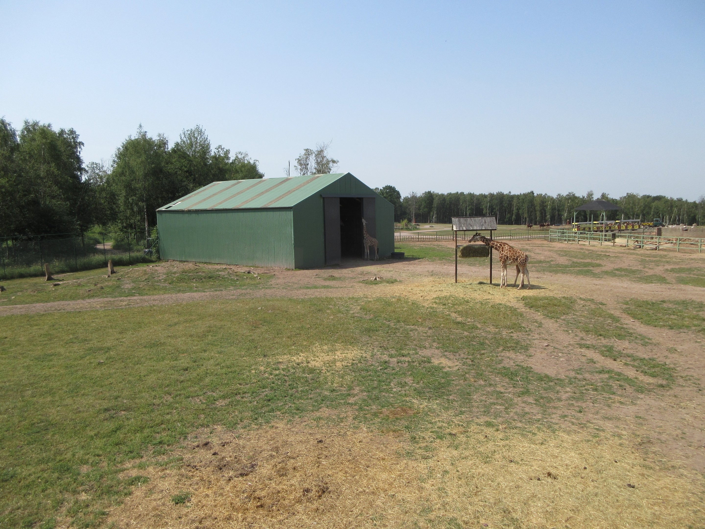 Giraffe Exhibit + Barn