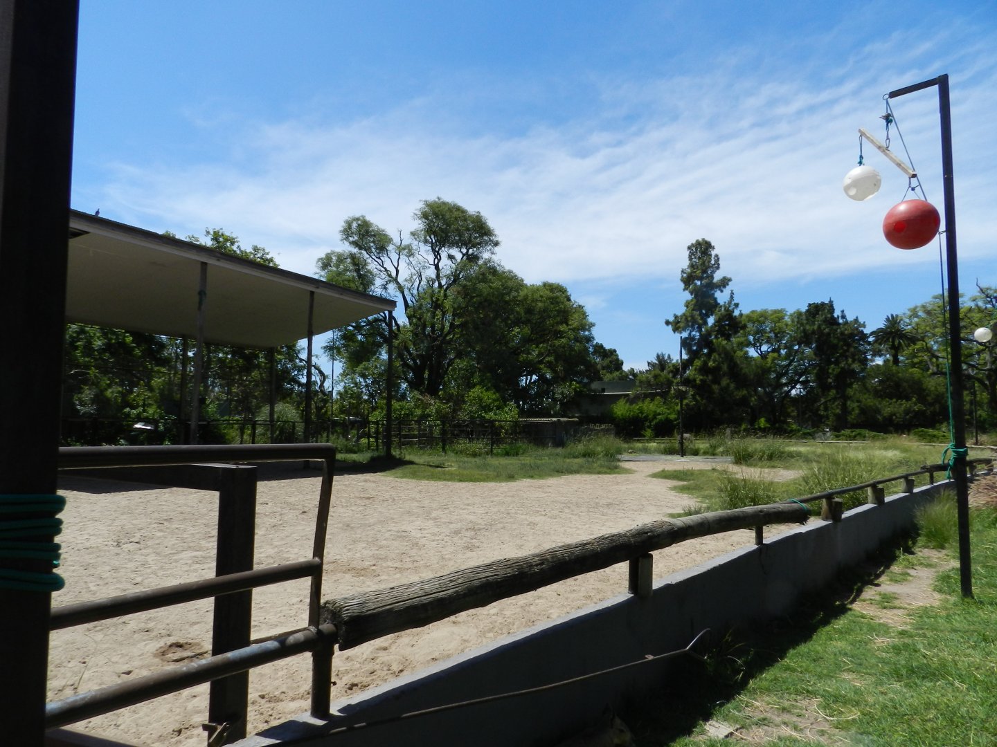 Giraffe exhibit - Ecoparque BA