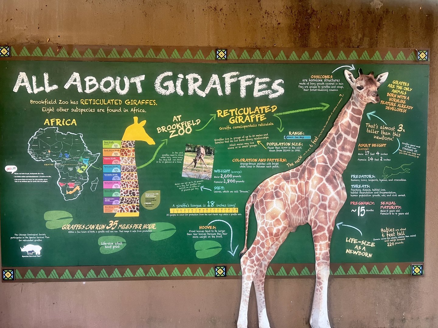 Giraffe Exhibit Information Sign