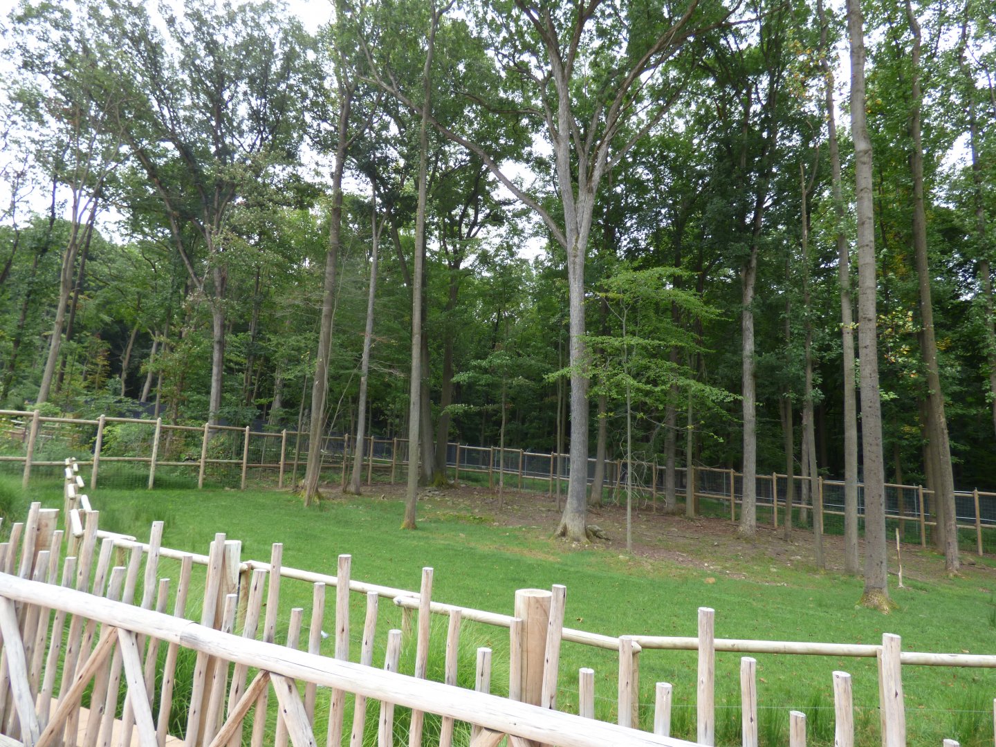 Giraffe Exhibit - Left of Boardwalk - Sept. 2018