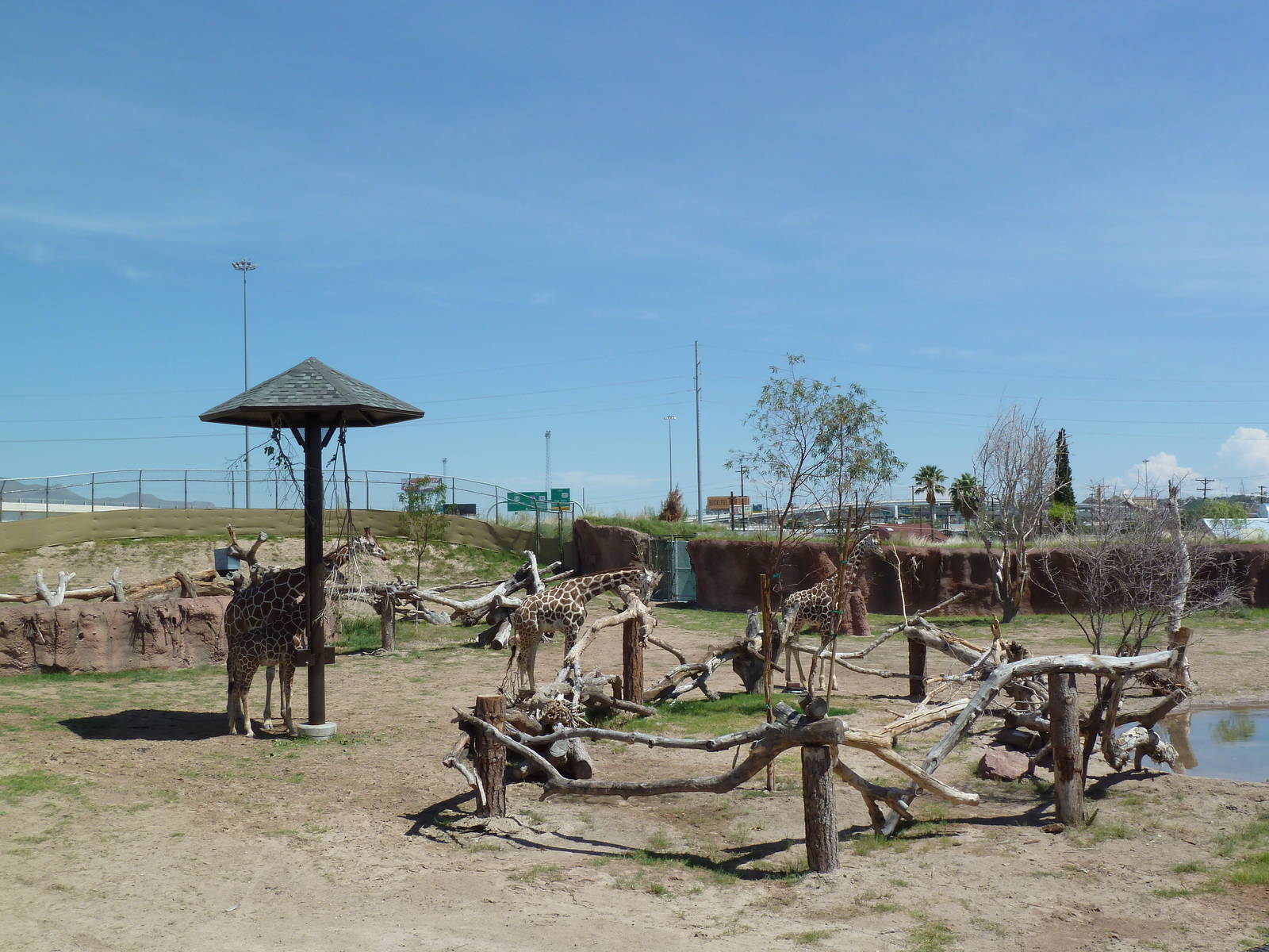 Giraffe Exhibit - New Exhibit In 2010