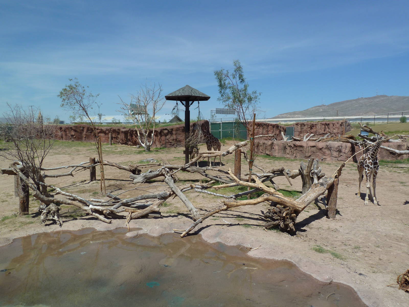 Giraffe Exhibit - New Exhibit In 2010