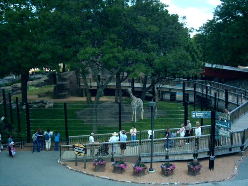Giraffe Exhibit Overview