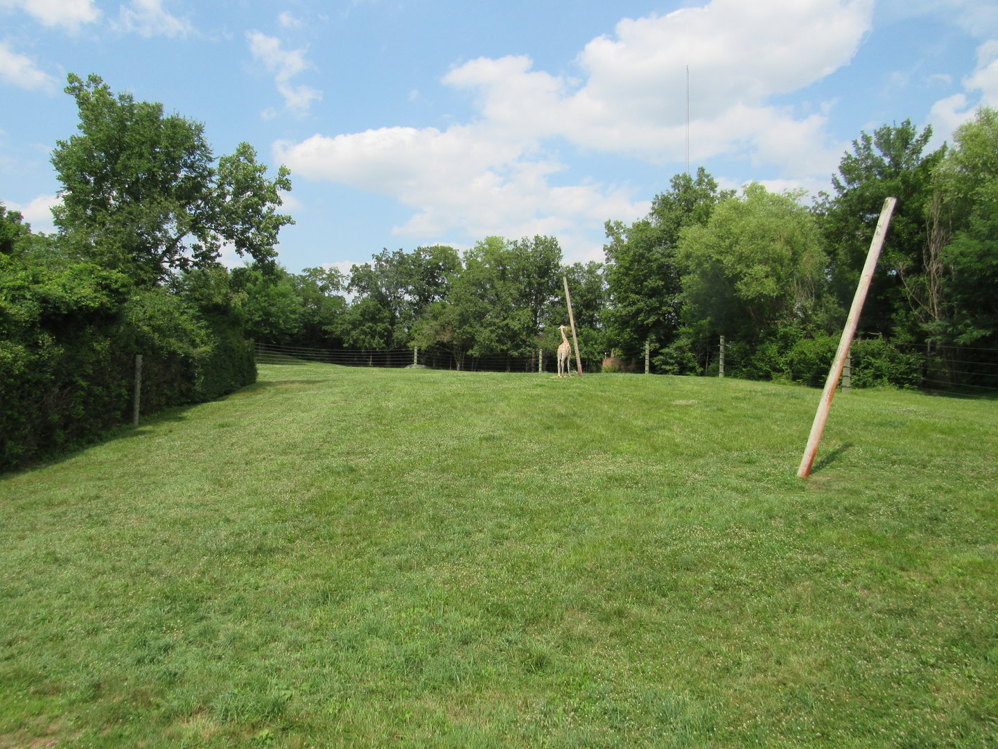 Giraffe Exhibit (Right side), African Journey
