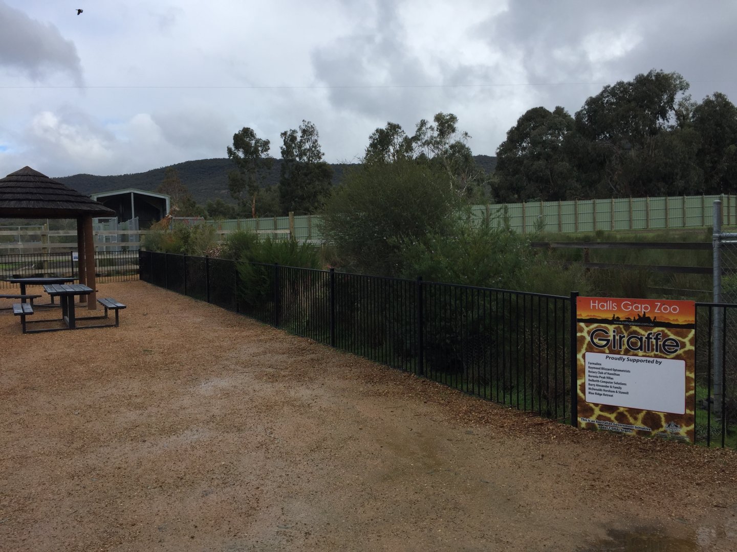 Giraffe Exhibit Viewing Area