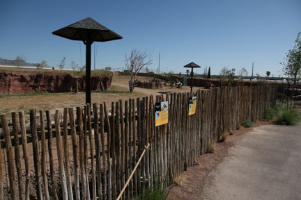 giraffe exhibit