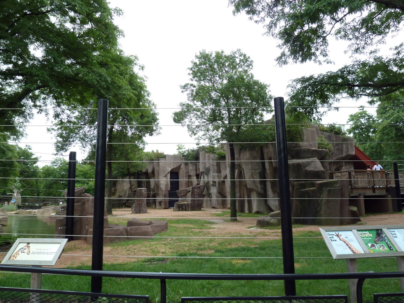 Giraffe Exhibit